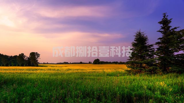 2-210531153G51T.jpg