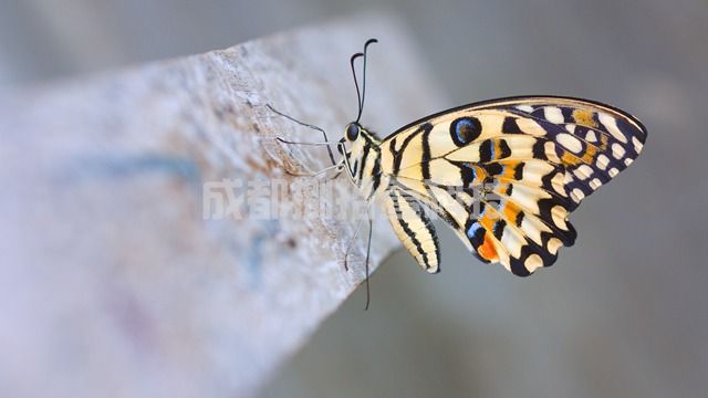 2-210605151J3301.jpg