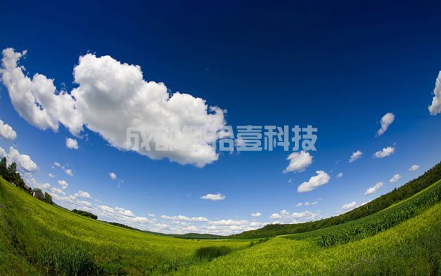2-21060G5232a55.jpg