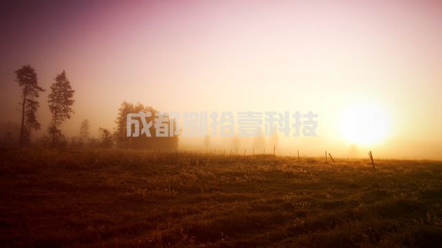 2-210609135404W3.jpg