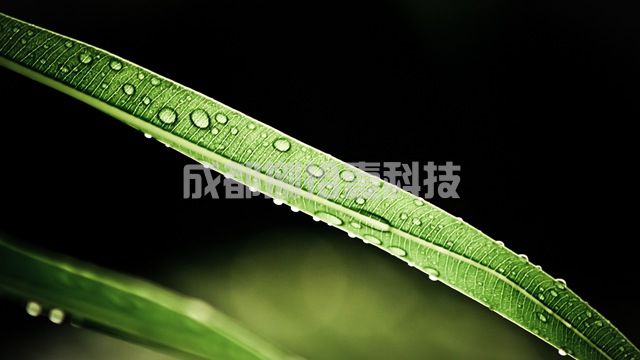 2-210623134Z13a.jpg