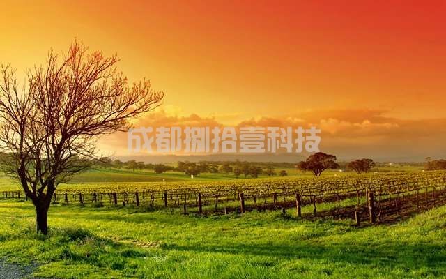 2022医疗事故纠纷处理流程有哪些？医方被起诉后应做的应诉准备有哪些？(图1)