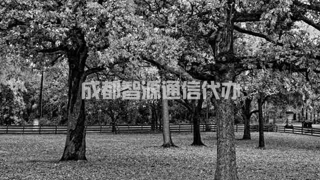 3-210G00951511G.jpg
