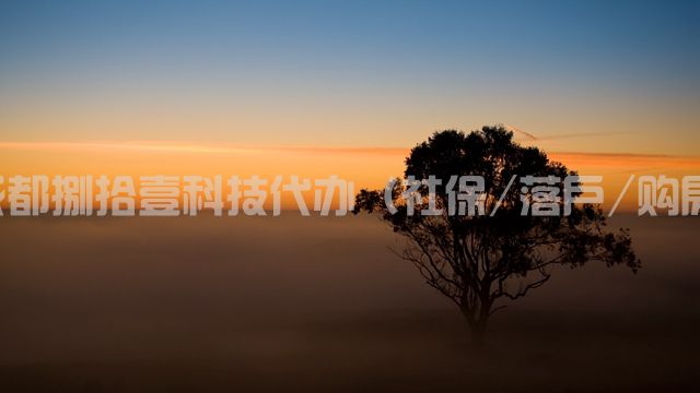 2-210G2111643208.jpg