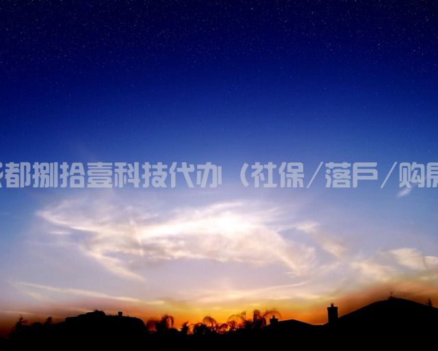 2-210G4102PC94.jpg