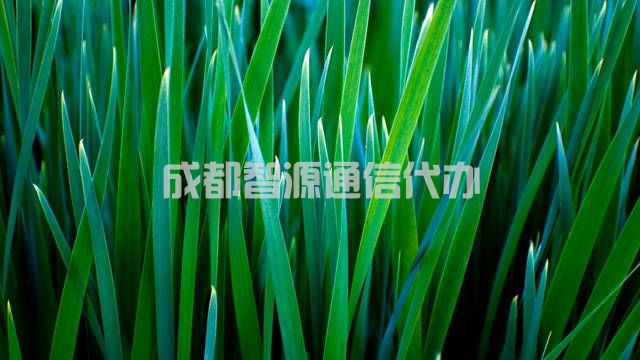 3-210Q0131S4926.jpg
