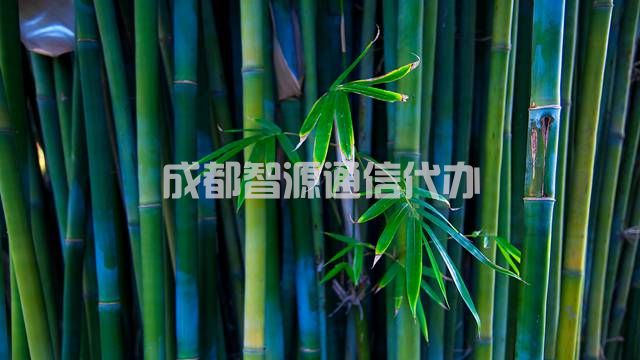 3-210QQ14411438.jpg