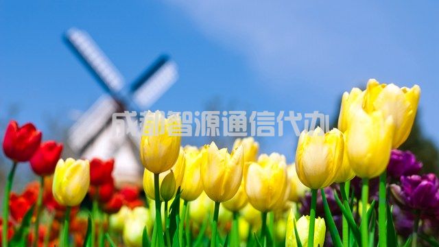 3-210R0152011563.jpg