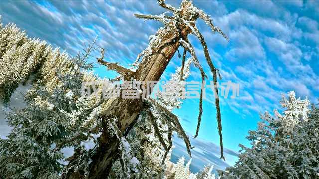 你能落户成都啦！成都落户政策2022最新条件(图1)